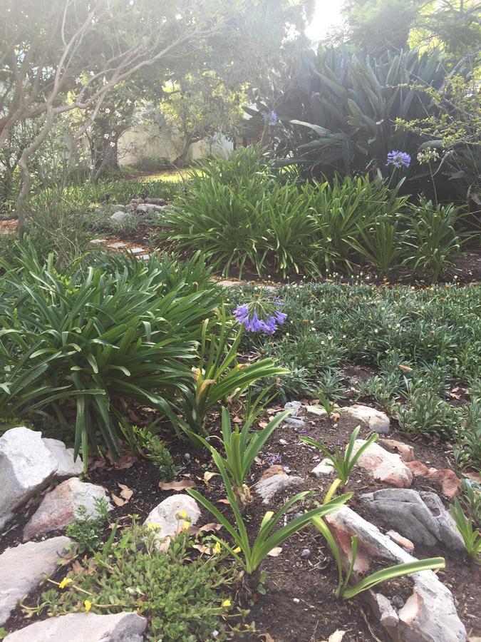 Acorn Cottage Hermanus Bagian luar foto
