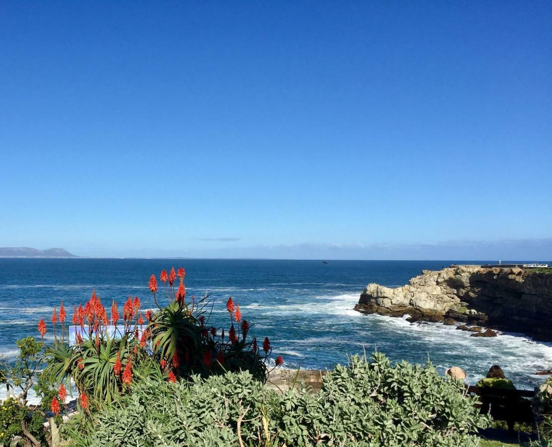 Acorn Cottage Hermanus Bagian luar foto