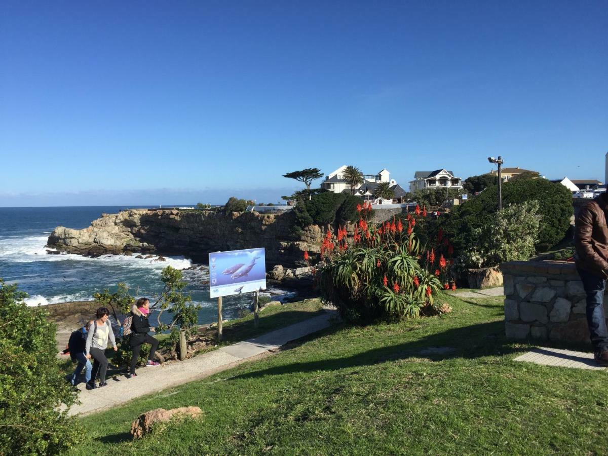 Acorn Cottage Hermanus Bagian luar foto