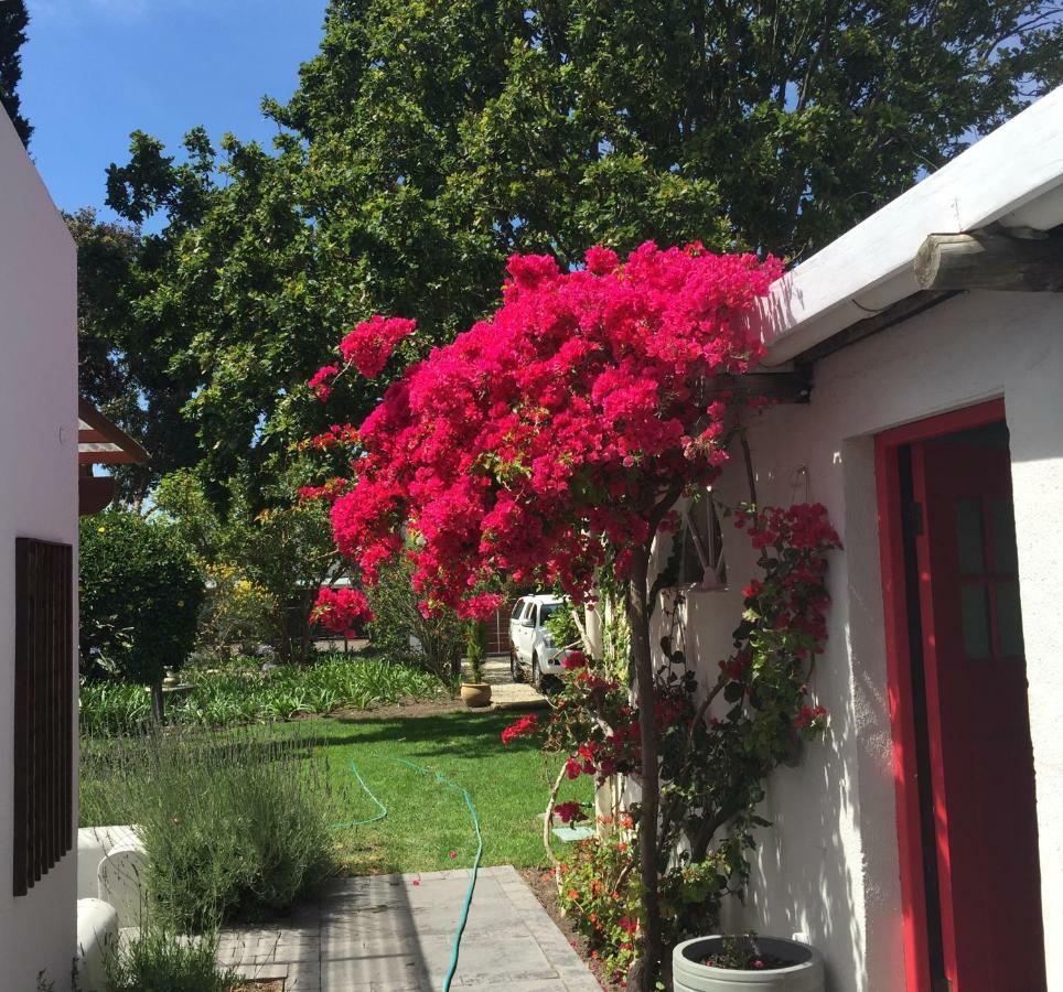 Acorn Cottage Hermanus Bagian luar foto